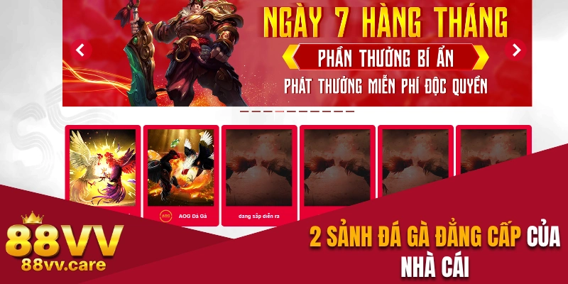 Đá Gà 88VV – Sàn Đấu Nảy Lửa Của Các Chiến Kê Oai Hùng 2 2 sảnh chọi kê nổi tiếng trên nhà cái
