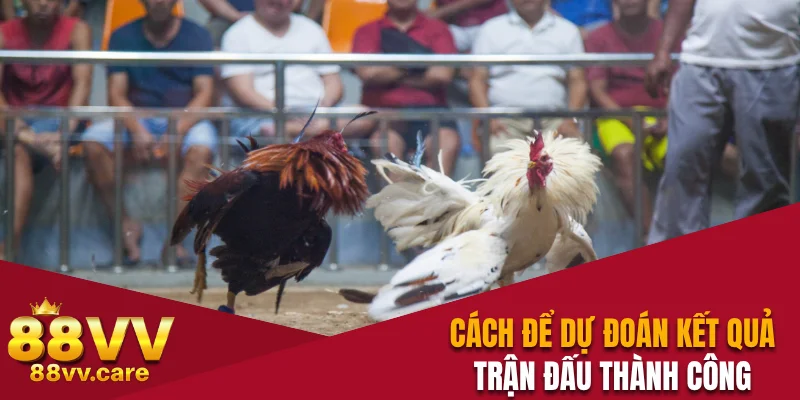 Cách để dự đoán kết quả trận đấu thành công