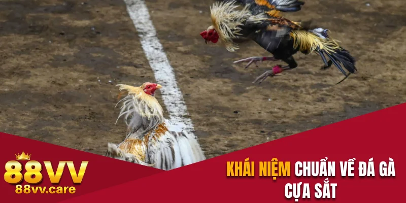 Khái niệm chuẩn về đá gà cựa sắt