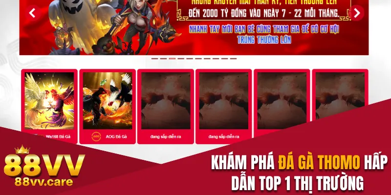 Khám phá đá gà Thomo hấp dẫn top 1 thị trường 